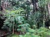 listing thumbnail image 27