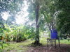 listing thumbnail image 31