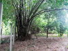 listing thumbnail image 26