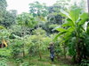 listing thumbnail image 32