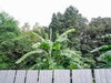 listing thumbnail image 29