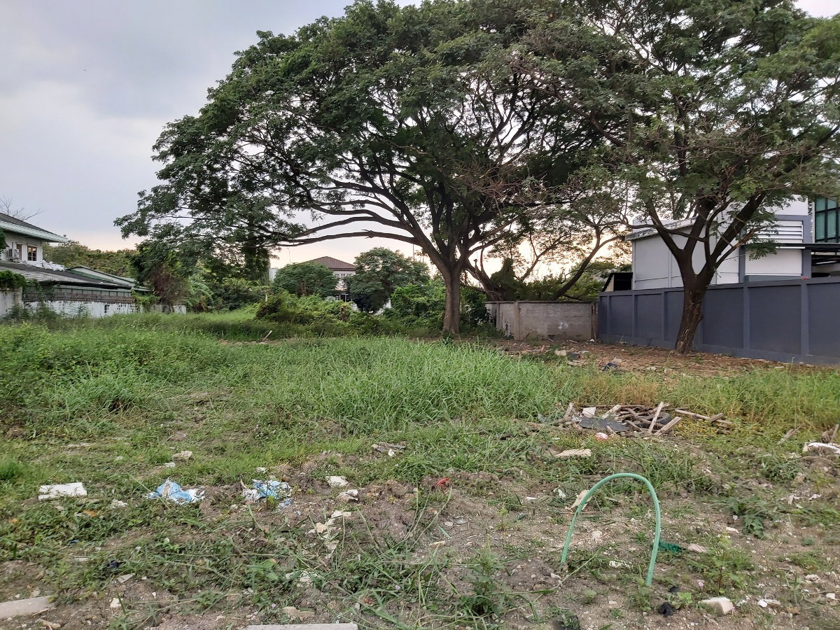 รูป ให้เช่าที่ดินเปล่า 310 ตร.ว. ซอยเพชรเกษม64 แขวงบางแคเหนือ เขตภาษีเจริญ กทม.call 0846383845 - รูปที่ 2/4