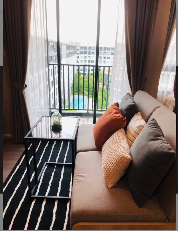 picture D Condo Campus Hideaway Rangsit Phase 4, Building B, 8th floor, new room, swimming pool view. (Recruiters welcome)   - 5/12
