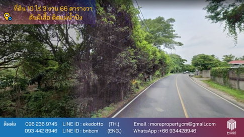 รหัสทรัพย์057LS ขายที่ดินเชียงใหม่ 10-3-66 ตรว สันผีเสื้อ ติดแม่น้ำปิง