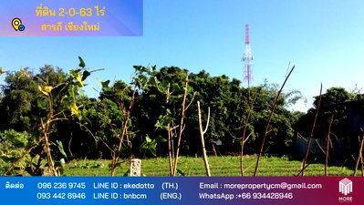 Land for sale Chiang Mai : Property ID016LS Land for sale in Saraphi 2- 0- 63 Rai  near Wat Ko Prajamhong
