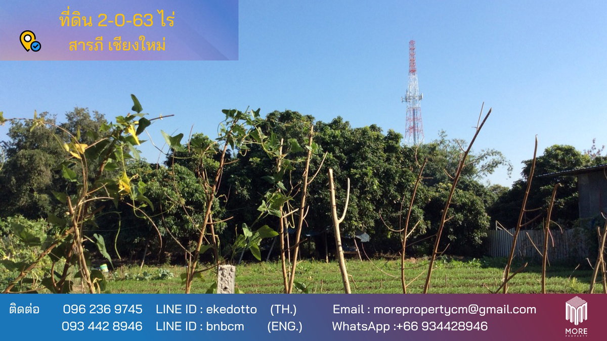 รูป รหัสทรัพย์ 016LS. ขายที่ดิน สารภี  2-0-63 ไร่ ใกล้วัดกอประจำโฮง (วัดโพธิ์ศิริมงคลทอง) - รูปที่ 1/20