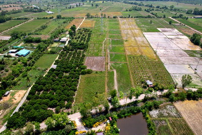 Land for sale Chiang Mai : Property id 001LS Beautiful plot of land,size 7 rai 1 ngan 90 sq wa, San Kamphaeng Subdistrict.