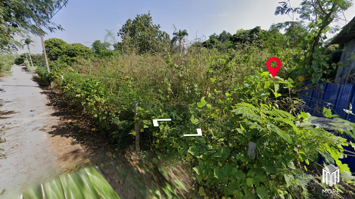 รูป รหัสทรัพย์ 016LS. ขายที่ดิน สารภี  2-0-63 ไร่ ใกล้วัดกอประจำโฮง (วัดโพธิ์ศิริมงคลทอง) - รูปที่ 10/20
