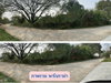 listing thumbnail image 10