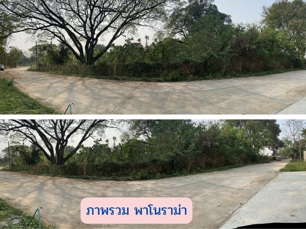 รูป รหัสทรัพย์ 123LS ขายที่ดินซอยวัดดอนแก้ว 1 ไร่ (400 ตร.ว.)  ต.ดอนแก้ว อ.แม่ริม จ.เชียงใหม่ - รูปที่ 11/15