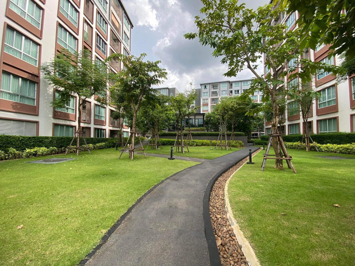 รูป ขายคอนโด D Condo Ping 2 ห้องนอนข้างเซนเฟสเชียงใหม่พร้อมเข้าอยู่ - รูปที่ 13/15