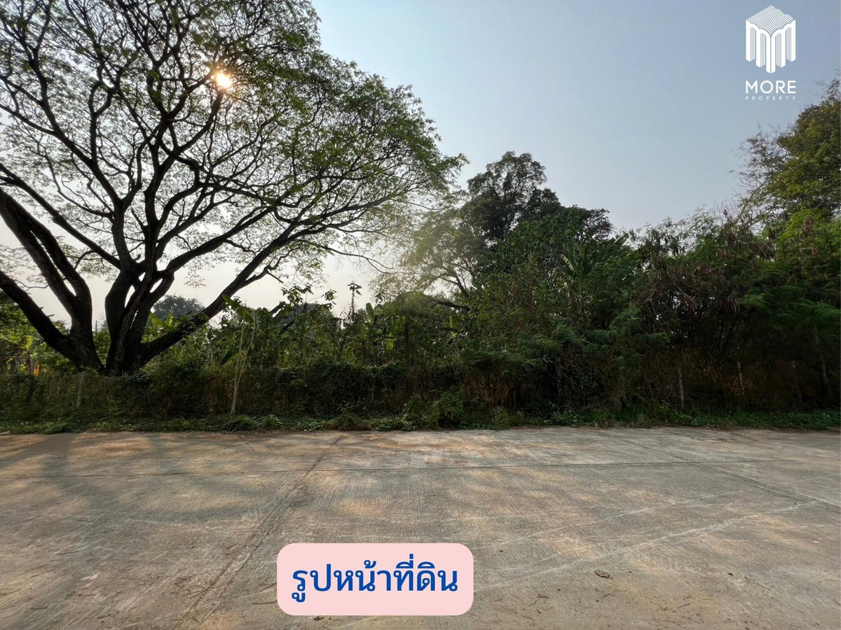 รูป รหัสทรัพย์ 123LS ขายที่ดินซอยวัดดอนแก้ว 1 ไร่ (400 ตร.ว.)  ต.ดอนแก้ว อ.แม่ริม จ.เชียงใหม่ - รูปที่ 9/15