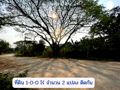 Land for sale Chiang Mai : Property id 123LS Land for sale in Soi Wat Don Kaew, 1 rai (400 sq.wah = 1,600 sq.m.), Don Kaeo Subdistrict, Mae Rim District, Chiang Mai.