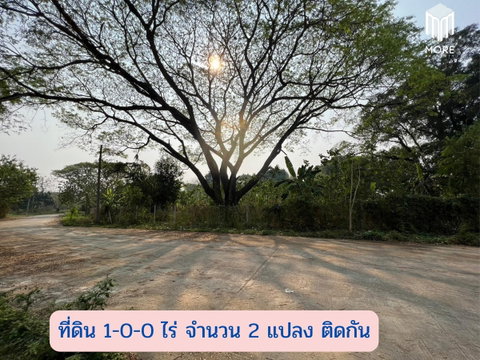 รหัสทรัพย์ 123LS ขายที่ดินซอยวัดดอนแก้ว 1 ไร่ (400 ตร.ว.) ต.ดอนแก้ว อ.แม่ริม จ.เชียงใหม่