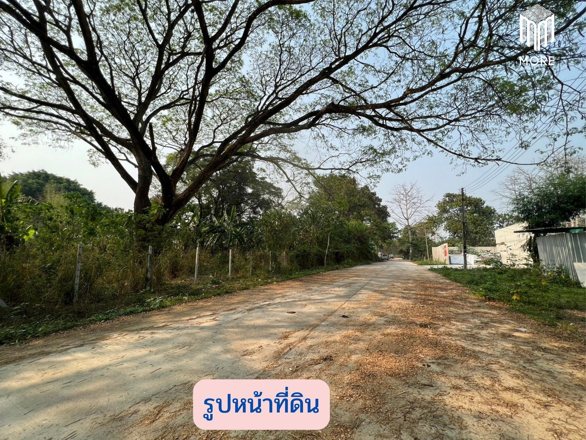 รูป รหัสทรัพย์ 123LS ขายที่ดินซอยวัดดอนแก้ว 1 ไร่ (400 ตร.ว.)  ต.ดอนแก้ว อ.แม่ริม จ.เชียงใหม่ - รูปที่ 12/15