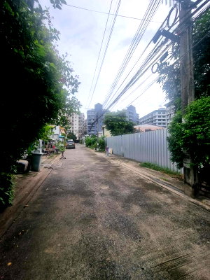 ที่ดิน วิทยาลัยเซาธ์อีสท์บางกอก : LTH9976 – Land FOR SALE in Sukhunvit 50 Size 492 Sq.W Near BTS Onnut station ONLY 55 MB