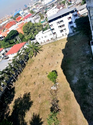 ที่ดิน สุขุมวิท 62 : LTH9981 – Land FOR SALE in Sukhumvit 62 Size 1019 Sq.W Near BTS Bang Chak station ONLY 350 MB