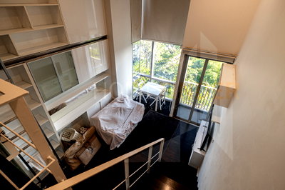 คอนโดให้เช่า : Ideo Morph 38 1 bedroom, for rent