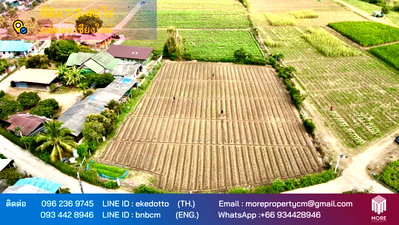 Land for sale Chiang Mai : Property ID154LS Land for sale in Mae Tang 1-3-46 Rai  near Mae Malai Market