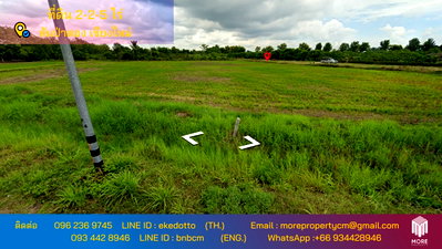 Land for sale Chiang Mai : Property ID163LS Land for sale in Sai Pa Tong, 2 Rai 2 Ngan 5 Sq.wa.,near PTT Station Thung Ruang Thong (Mae Wang)