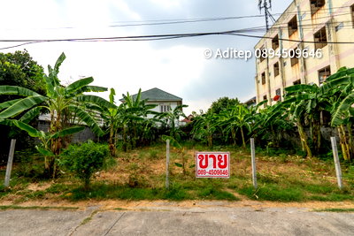ที่ดิน ลำลูกกา คลองสอง : ขายที่ดินลำลูกกา คูคต 112 ตรว. ที่ดินใกล้รถไฟฟ้า BTS คูคต อยู่ในเขตชุมชน ติดถนนคอนกรีต เหมาะปลูกบ้านอยู่อาศัย หรือค้าขาย เข้าออกได้หลายทาง