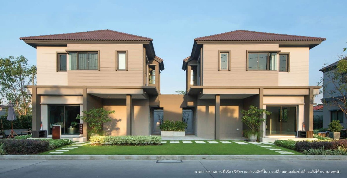 รูปภาพBirch