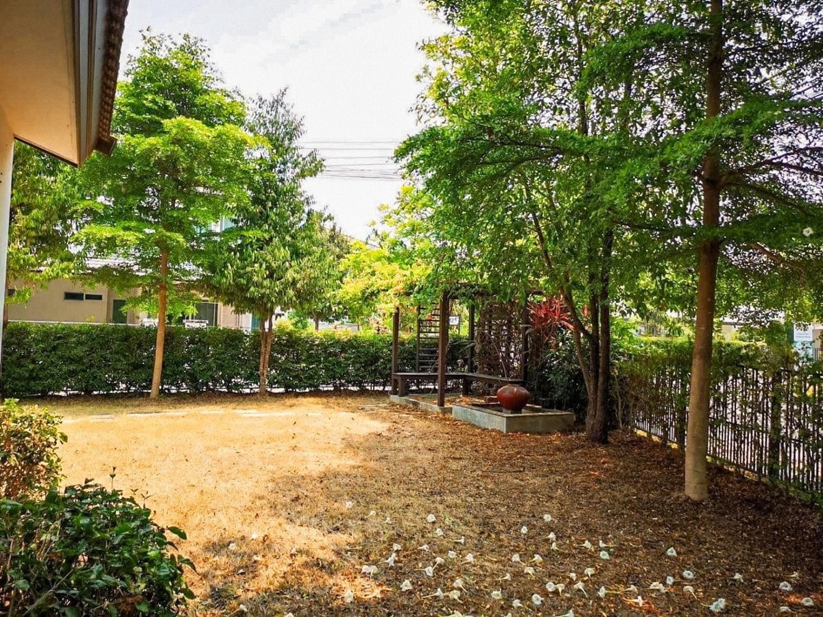 รูป ขายด่วนน บ้านเดี่ยว โครงการ สิวลี มีโชค หลังมุม (SW000435) - รูปที่ 13/13