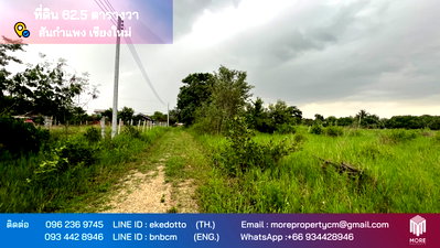 Land for sale Chiang Mai : Property ID181LS Land for sale in San Kampaeng 62.5 sq.wa near Lanna Airport
