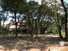 listing thumbnail image 36