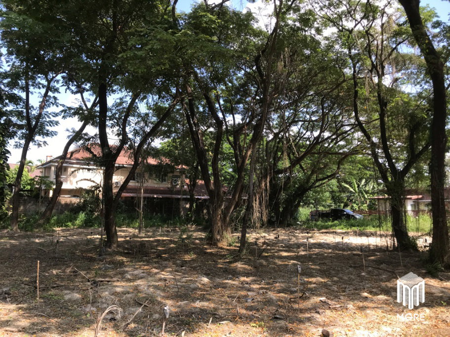 รูป รหัสทรัพย์ 203LS ขายที่ดิน แม่ริม 1งาน 54 ตร.ว. ใกล้ โรงพยาบาลนครพิงค์ - รูปที่ 37/42