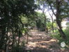 listing thumbnail image 23