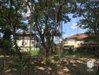 listing thumbnail image 35