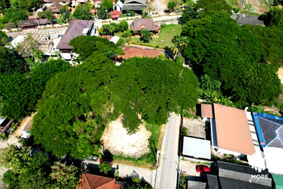 Land for sale Chiang Mai : Property ID202LS Land for sale in Mae Rim 1 Ngan 54 Sq.wa.,  near Nakornping Hospital 