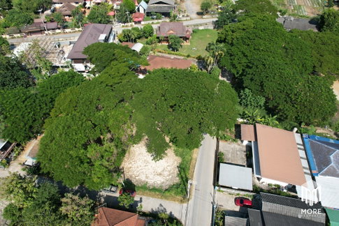 รหัสทรัพย์ 203LS ขายที่ดิน แม่ริม 1งาน 54 ตร.ว. ใกล้ โรงพยาบาลนครพิงค์
