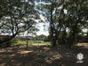 listing thumbnail image 27