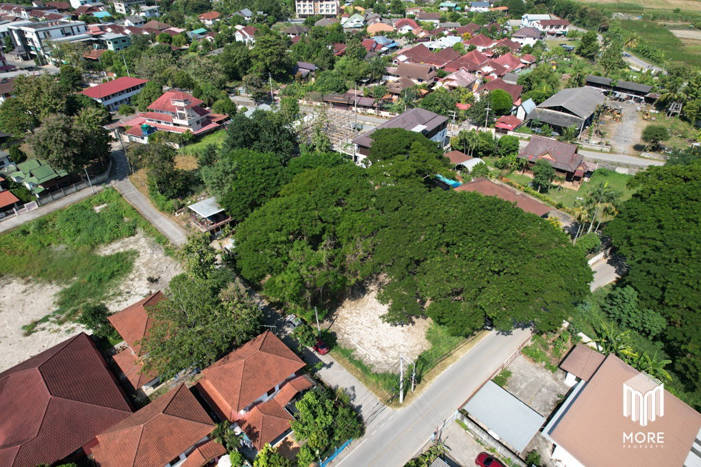 รูป รหัสทรัพย์ 203LS ขายที่ดิน แม่ริม 1งาน 54 ตร.ว. ใกล้ โรงพยาบาลนครพิงค์ - รูปที่ 17/42