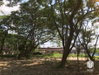 listing thumbnail image 39