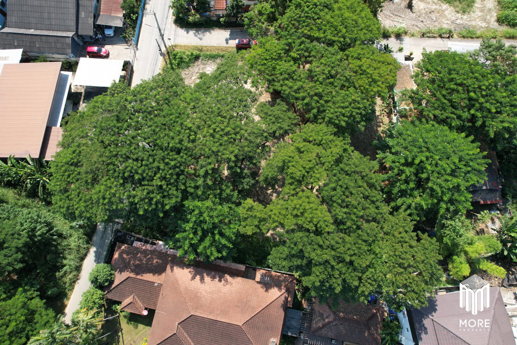 รูป รหัสทรัพย์ 203LS ขายที่ดิน แม่ริม 1งาน 54 ตร.ว. ใกล้ โรงพยาบาลนครพิงค์ - รูปที่ 14/42