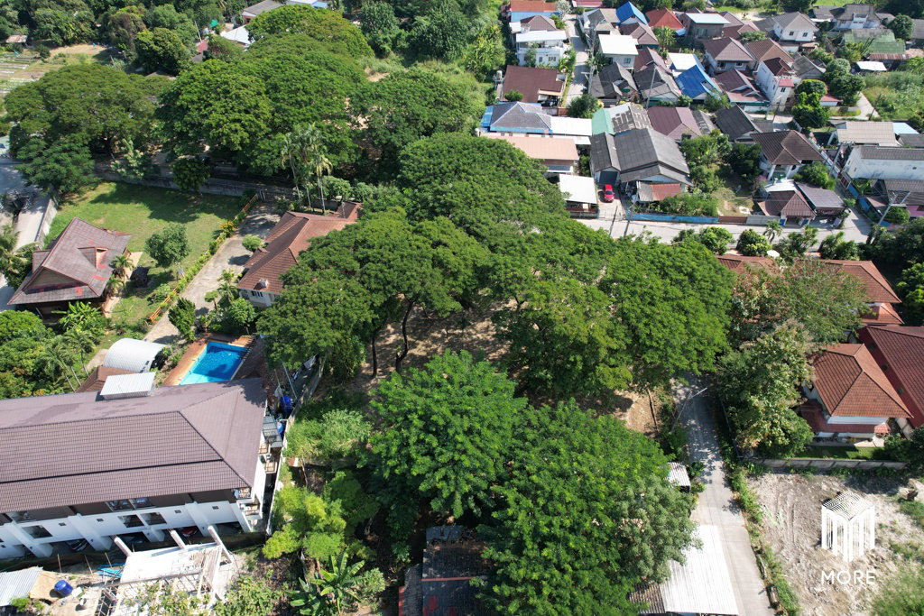 รูป รหัสทรัพย์ 203LS ขายที่ดิน แม่ริม 1งาน 54 ตร.ว. ใกล้ โรงพยาบาลนครพิงค์ - รูปที่ 10/42