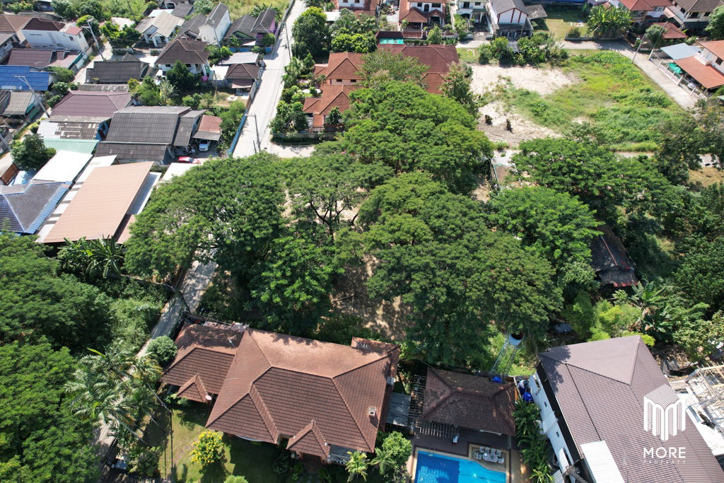 รูป รหัสทรัพย์ 203LS ขายที่ดิน แม่ริม 1งาน 54 ตร.ว. ใกล้ โรงพยาบาลนครพิงค์ - รูปที่ 13/42