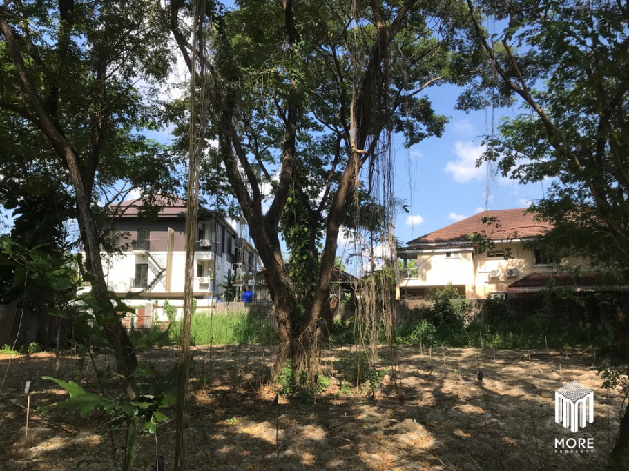 รูป รหัสทรัพย์ 203LS ขายที่ดิน แม่ริม 1งาน 54 ตร.ว. ใกล้ โรงพยาบาลนครพิงค์ - รูปที่ 35/42