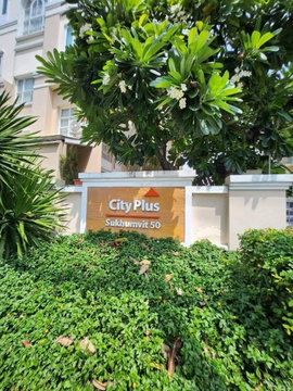 🌈🔥🦮🐕‍🦺Pet friendly Towhome City Plus Sukhumvit 50 3.5 storey   3 BR  4 BH 250 sqm.  for  Rental 🌈🔥