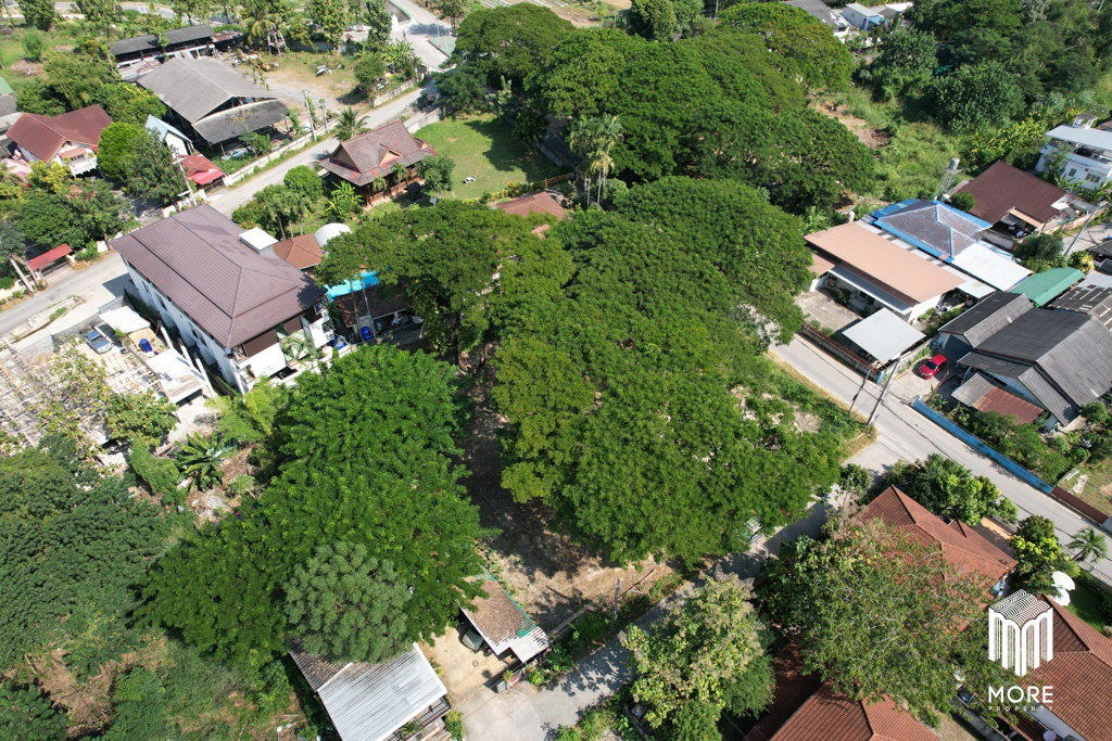 รูป รหัสทรัพย์ 203LS ขายที่ดิน แม่ริม 1งาน 54 ตร.ว. ใกล้ โรงพยาบาลนครพิงค์ - รูปที่ 9/42