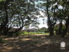 listing thumbnail image 40