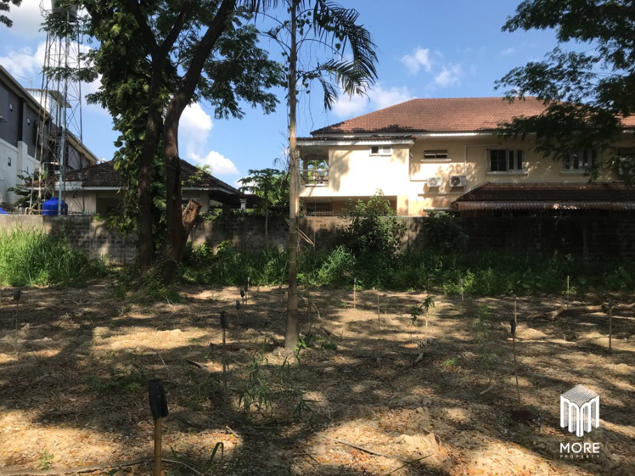 รูป รหัสทรัพย์ 203LS ขายที่ดิน แม่ริม 1งาน 54 ตร.ว. ใกล้ โรงพยาบาลนครพิงค์ - รูปที่ 30/42