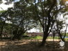 listing thumbnail image 38