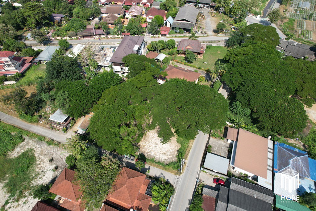 รูป รหัสทรัพย์ 203LS ขายที่ดิน แม่ริม 1งาน 54 ตร.ว. ใกล้ โรงพยาบาลนครพิงค์ - รูปที่ 2/42