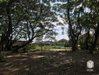 listing thumbnail image 41