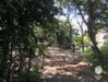 listing thumbnail image 24