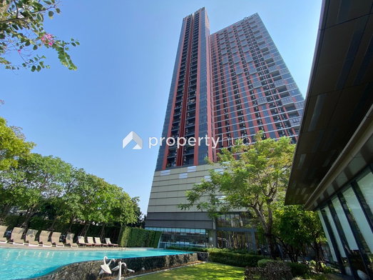 Project The Base Garden Rama 9  Picture - 2/25